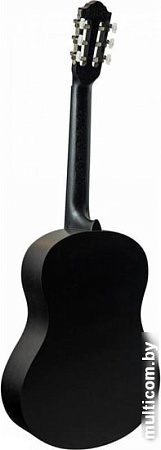 Акустическая гитара Flight C-100 BK 4/4