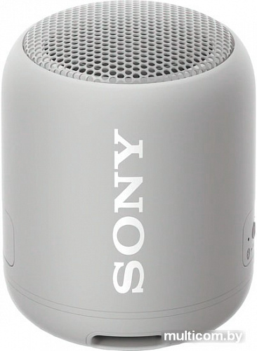 Беспроводная колонка Sony SRS-XB12 (серый)