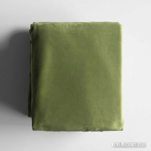 Комплект штор Pasionaria Бархат 290x230 (2 шт, светло-зеленый)