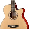 Акустическая гитара Foix FFG-2040C-NA