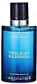 Туалетная вода Dorall Collection Twilight Wilderness for Men EdT (100 мл)