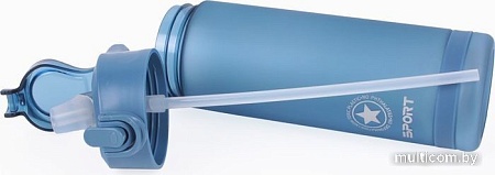 Бутылка для воды Darvish DV-H-1605-1 750мл (синий)