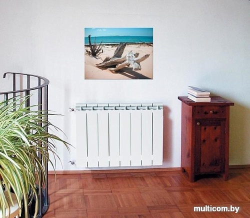 Радиатор Global Style Extra 500