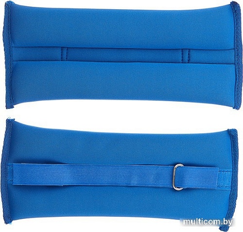 Комплект утяжелителей Indigo SM-259 (синий)