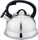 Чайник Webber BE-0554