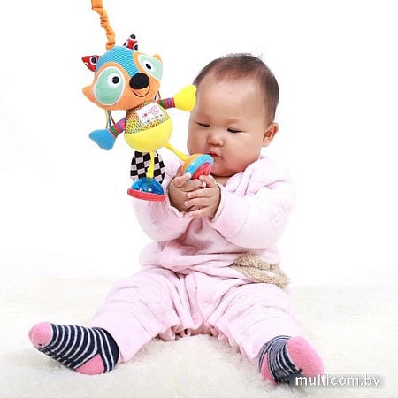 Погремушка Biba Toys Крошка-енот BS177