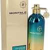 Montale Day Dreams EdP (100 мл)