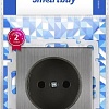 Розетка SmartBuy SBE-05gn-16-S1-N