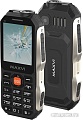 Мобильный телефон Maxvi T1 (черный)