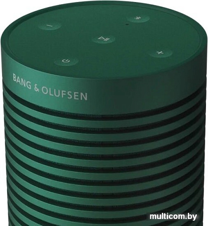 Беспроводная колонка Bang & Olufsen Beosound Explore (зеленый)
