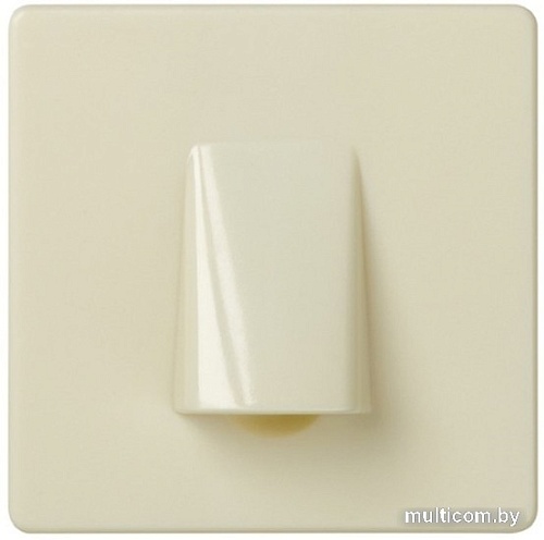 Вывод кабеля Simon 27801-32 (слоновая кость)