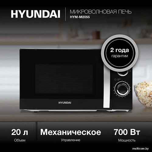 Hyundai HYM-M2055