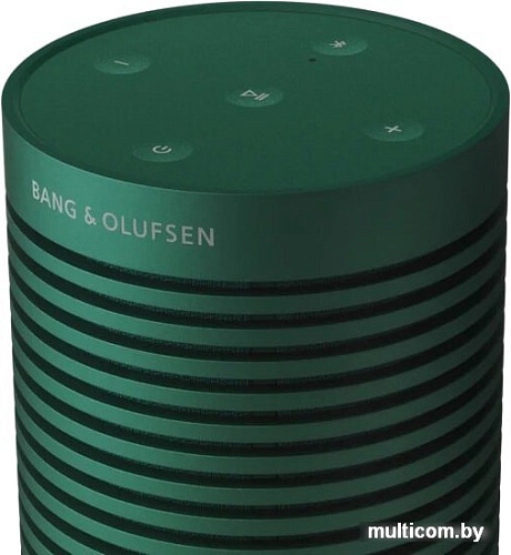 Беспроводная колонка Bang & Olufsen Beosound Explore (зеленый)