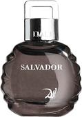 Salvador Dali Salvador EdT (50 мл)
