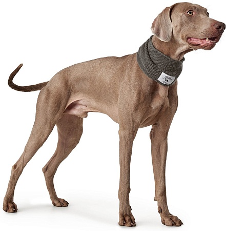 Одежда, обувь, украшения для животных Hunter Scarf Nancy 78см 66806 (серый)