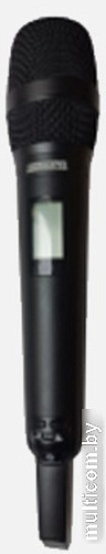 Радиомикрофон DSPPA D5811