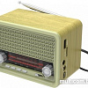 Радиоприемник Ritmix RPR-030 (золотистый)