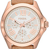 Наручные часы Fossil AM4532