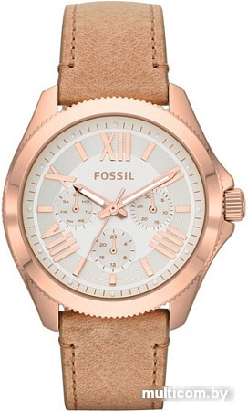 Наручные часы Fossil AM4532