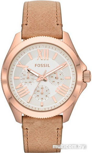 Наручные часы Fossil AM4532