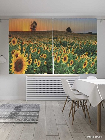 JoyArty Край подсолнухов p_8250 (145x180)
