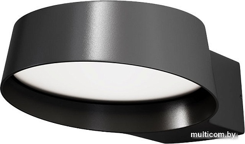 Уличный настенный светильник Maytoni Share O443WL-L12GF3K