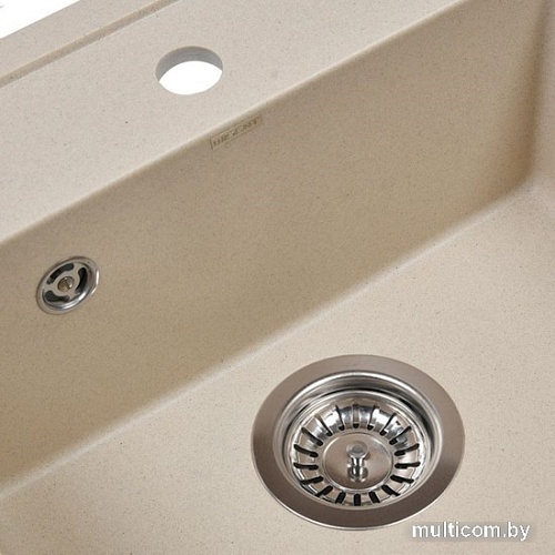 Кухонная мойка Wisent 510-30W (с сифоном GER013)