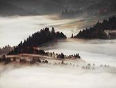 Картина Orlix Туман CA-12952 85x113 см