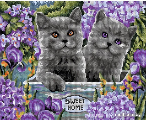 Алмазная мозаика ArtCity Британские котята DP045