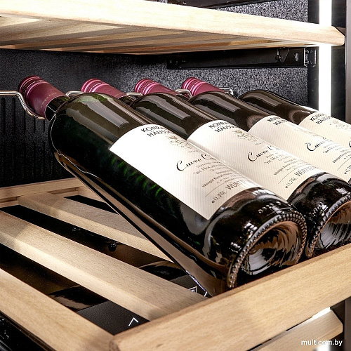 CASO WineDeluxe WD 60
