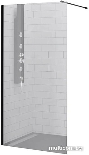 Душевая стенка RGW WA-010B 90 (черный/матовое стекло)