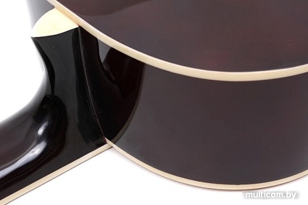 Акустическая гитара Aileen AC965H