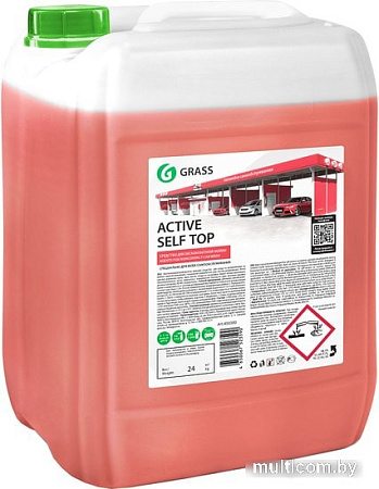Grass Моющее средство Active Self Top 24 кг 450300