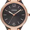 Наручные часы Fossil ES3077