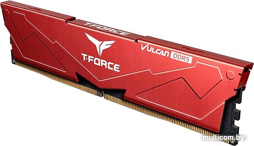 Оперативная память Team T-Force Vulcan 2x16ГБ DDR5 5600 МГц FLRD532G5600HC36BDC01
