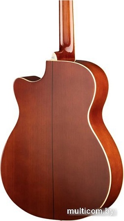 Акустическая гитара Naranda TG220CNA