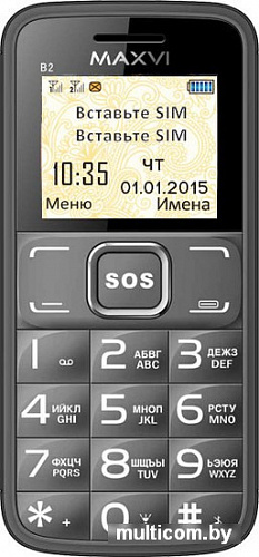 Мобильный телефон Maxvi B2 Grey