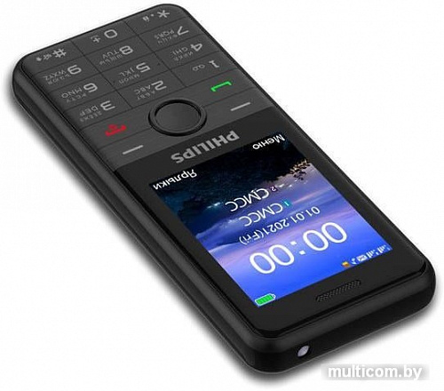 Смартфон Philips Xenium E172 (черный)