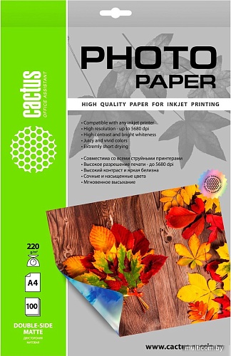 Фотобумага CACTUS Матовая А4 220 г/м2 100 листов CS-MA4220100DS
