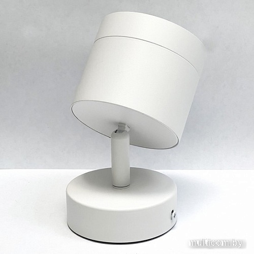 Спот TruEnergy 21027