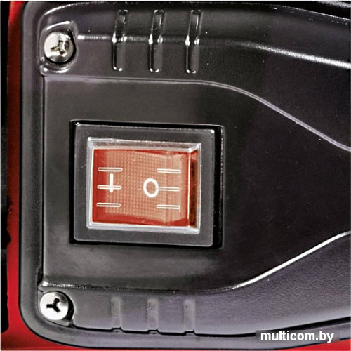 Насос Einhell GC-GP 1250 N (Металл)