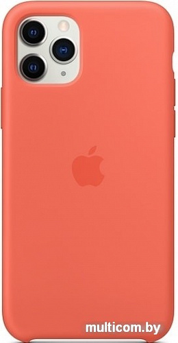 Чехол Apple Silicone Case для iPhone 11 Pro (спелый клементин)