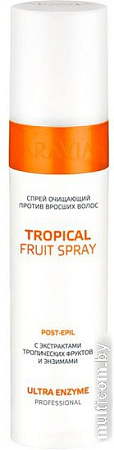 Спрей Aravia Professional Tropical Fruit Spray 250мл