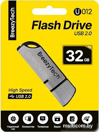USB Flash BreezyTech U012 32GB (серебристый/черный)