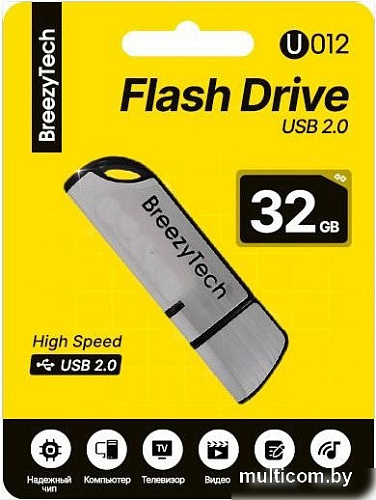 USB Flash BreezyTech U012 32GB (серебристый/черный)