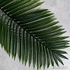 Искусственное растение Forgarden Лист Пальмы BN10756