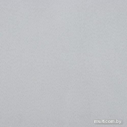 Штора Этель 10339933 2.7x3 м (светло-серый, 1 шт)