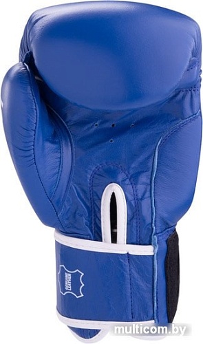Перчатки для единоборств Green Hill Gym BGG-2018 (14 oz, синий)