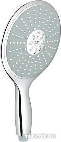 Душевая лейка Grohe Power&Soul 160 27675000