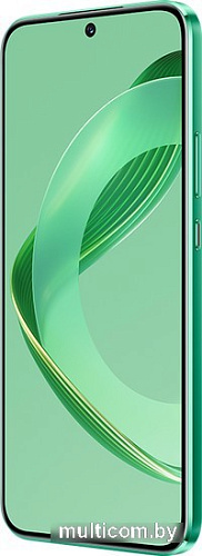 Смартфон Huawei nova 11 FOA-LX9 8GB/256GB (зеленый)
